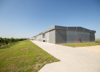 AMP Enterprises Expands Across Texas with Multiple Warehouses